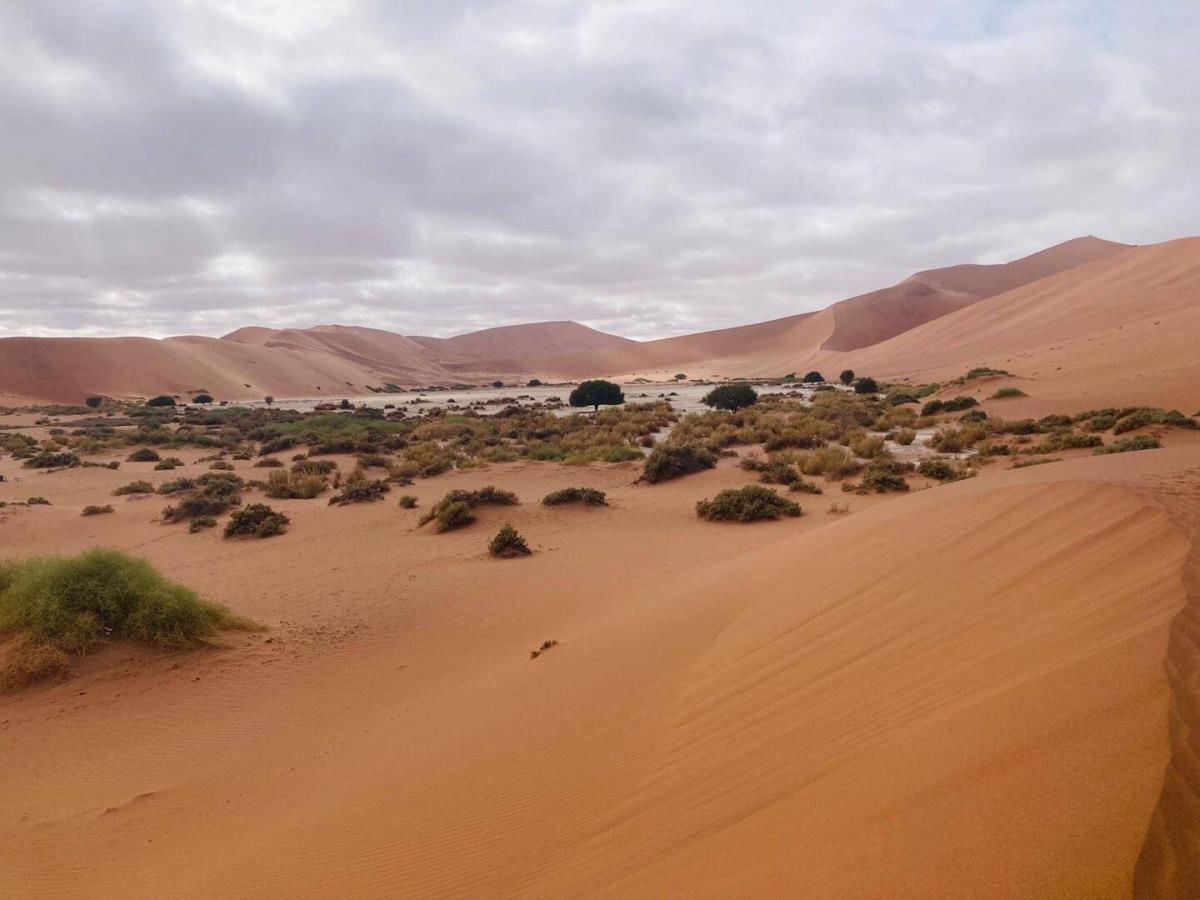 Muss man nichts sagen