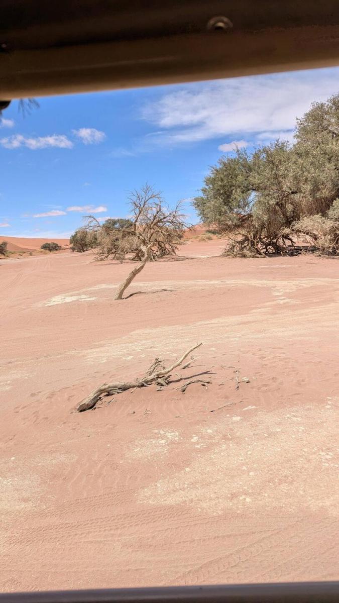 Wir haben Herbst in D