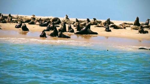 Strandurlaub